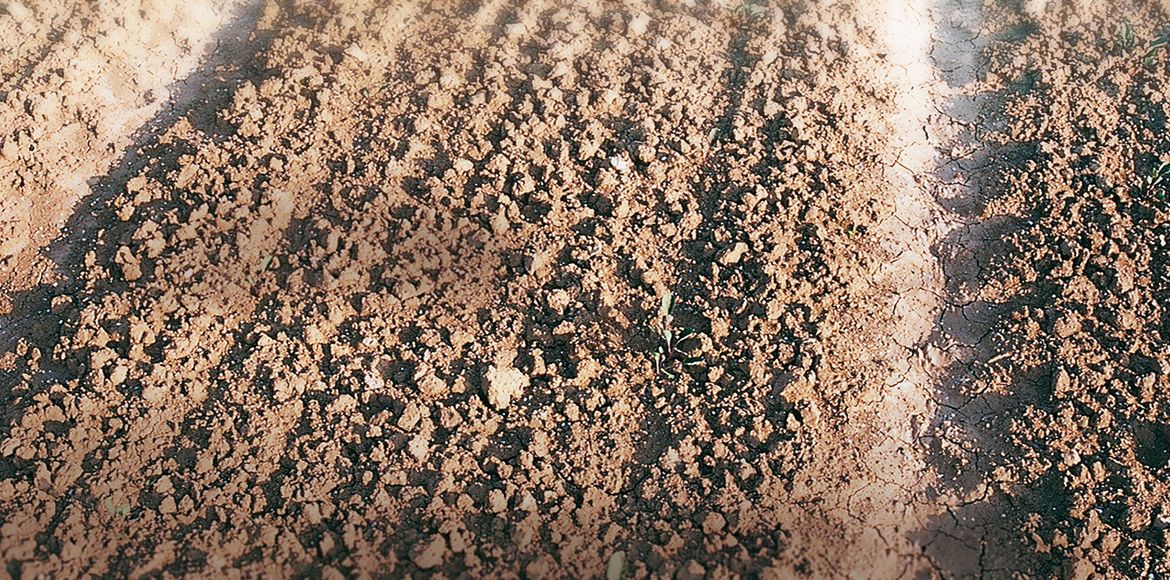 Das Beste für Ihren Boden: GÜTTLER® Mediana Walze