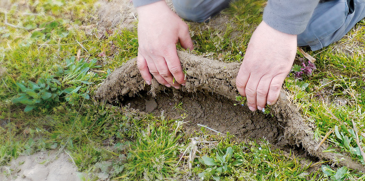 GreenManager®-System mit Grubber