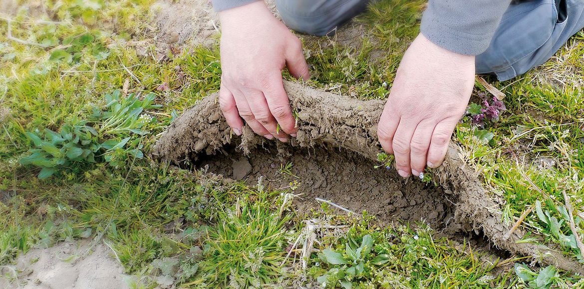 GreenManager®-System mit Grubber