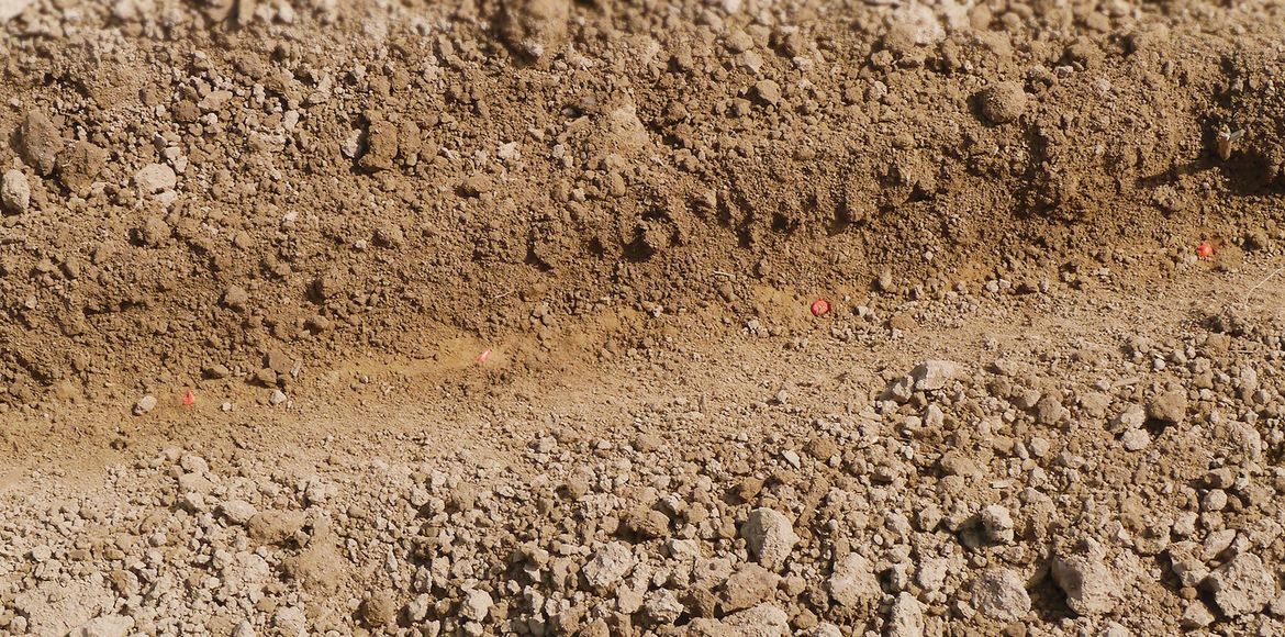 Die GÜTTLER® Säwalzen: Für schnelleren Feldaufgang & vitale Bestände